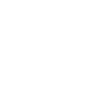 foundation icon