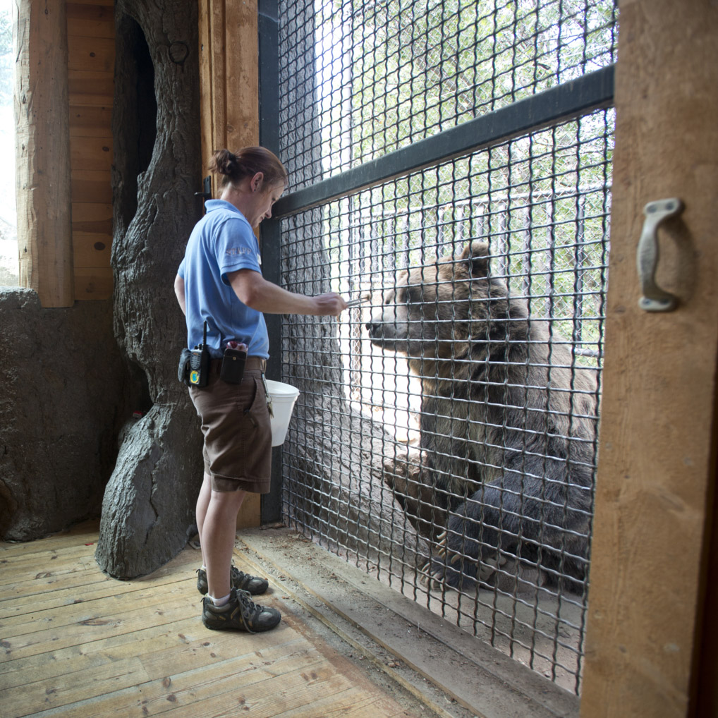 Zoo Keeping Student