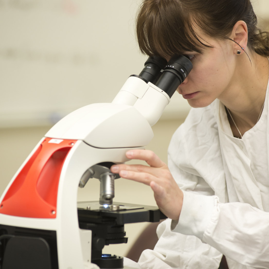 Science Student Looking in Microscope