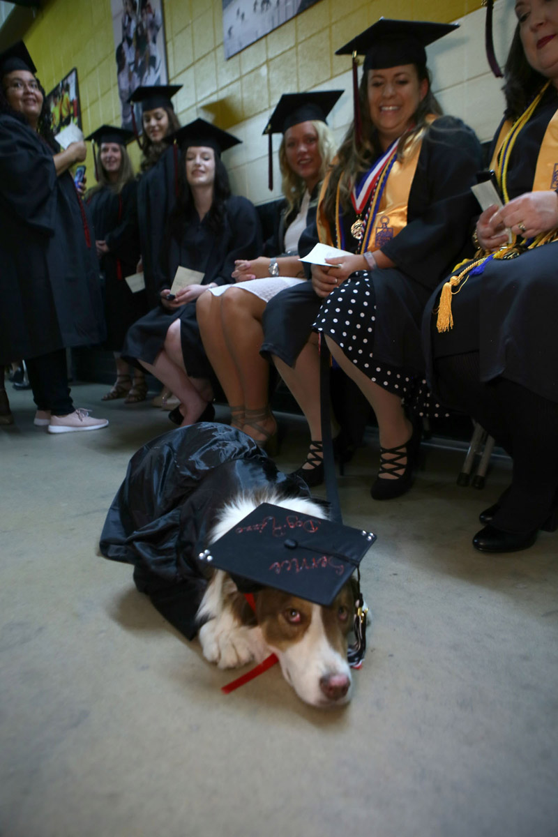 Commencement