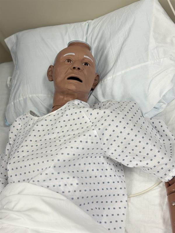 nursing mannequin