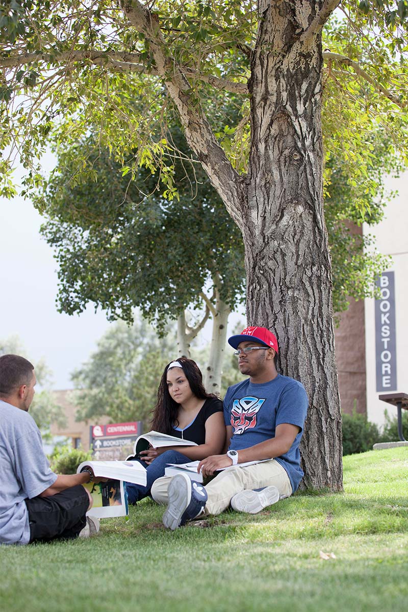 Students sitting underneath a tree outside the Centennial Campus Centennial Building. 