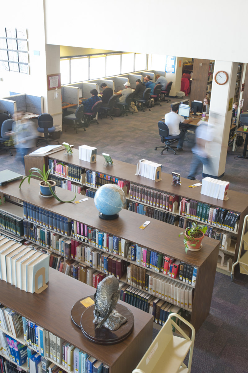 Vertical Image of Library