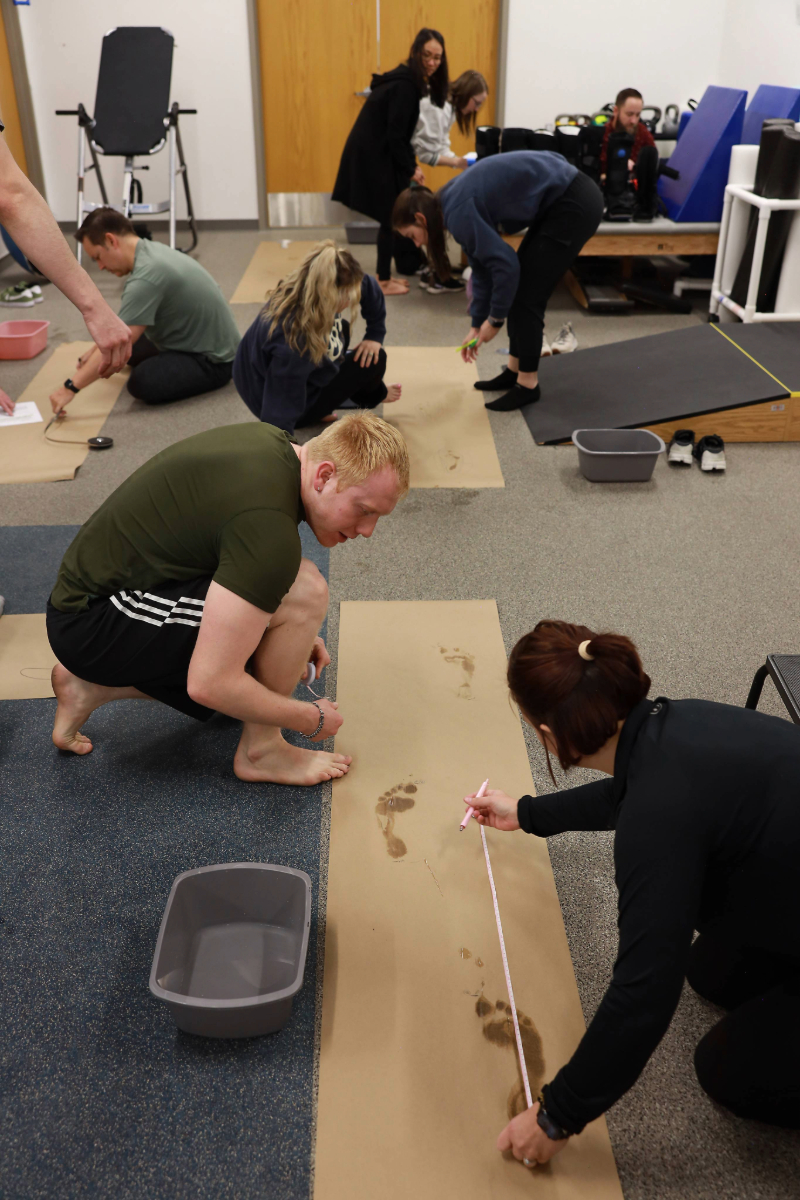 pta assisting patient