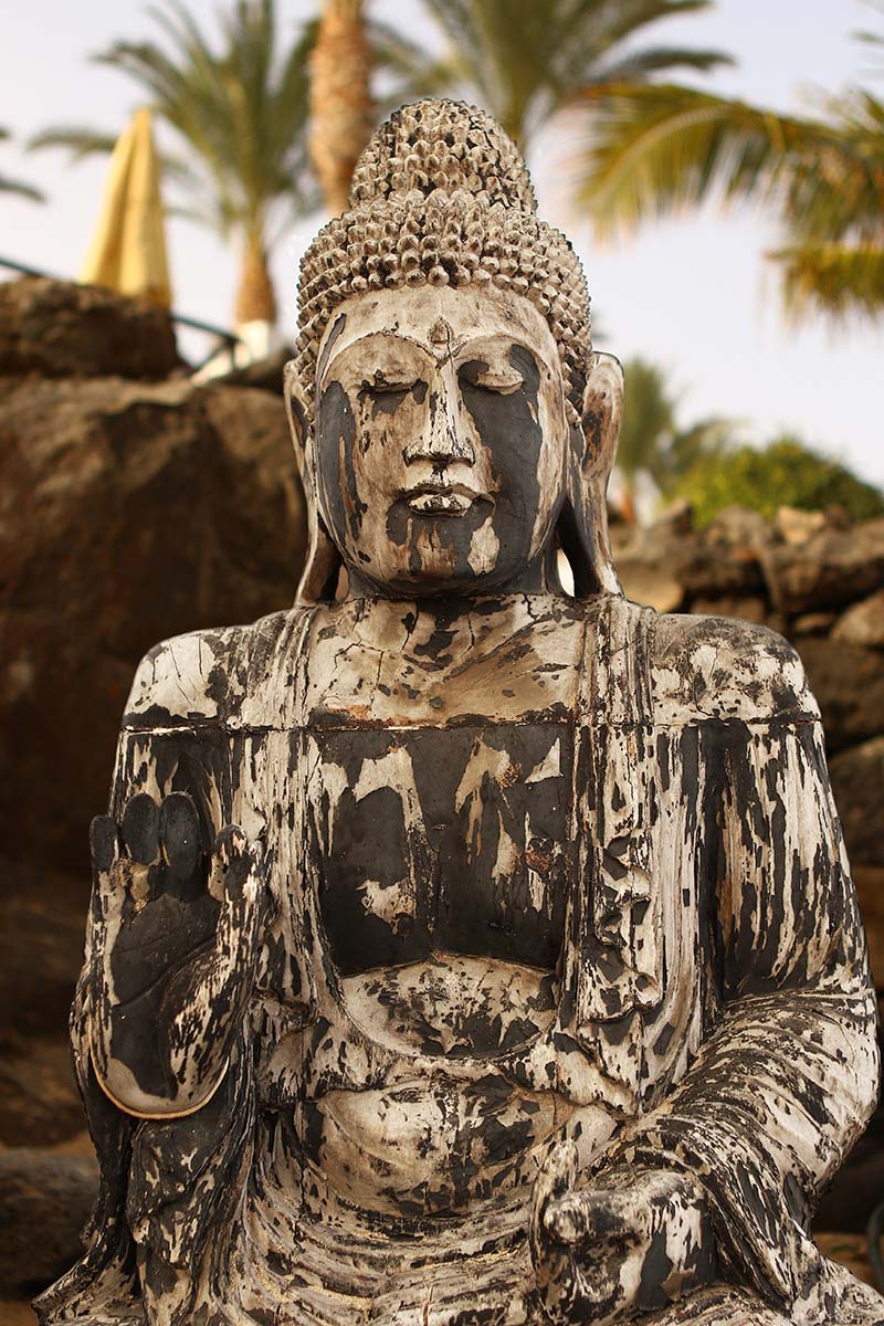 statue of the buddha