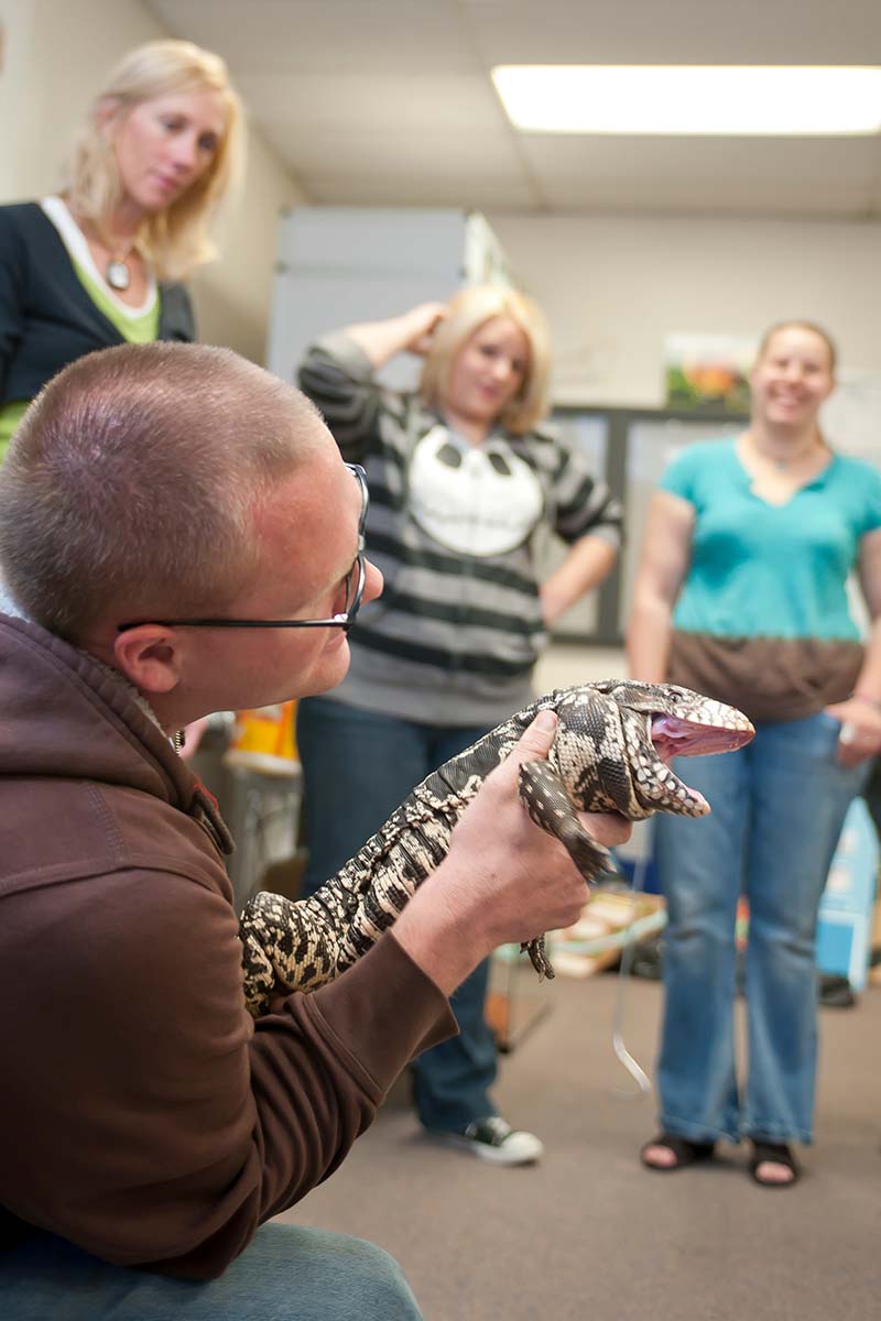 Zoo Keeping Classroom