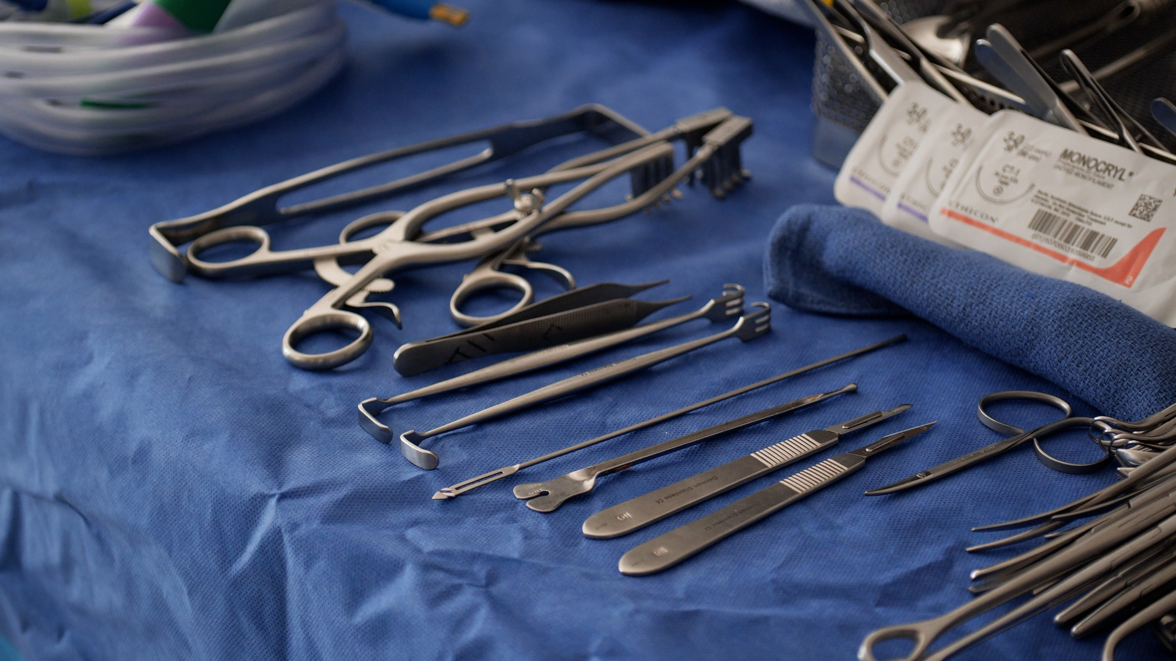 student working in biology lab